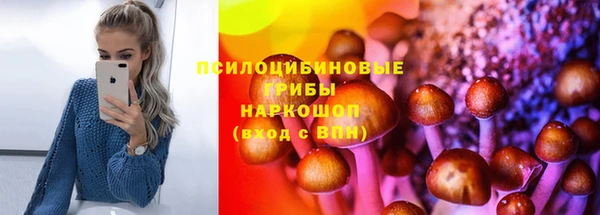 стаф Алексеевка