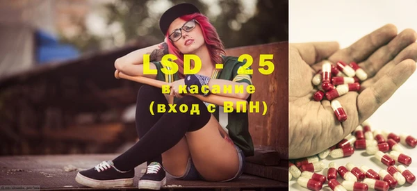 ГАЛЛЮЦИНОГЕННЫЕ ГРИБЫ Алзамай