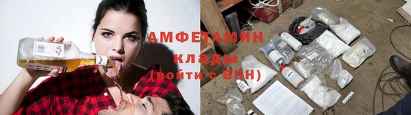 ГАЛЛЮЦИНОГЕННЫЕ ГРИБЫ Алзамай