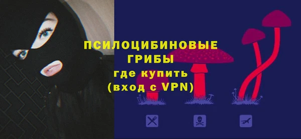 стаф Алексеевка