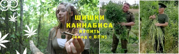 каннабис Алексин