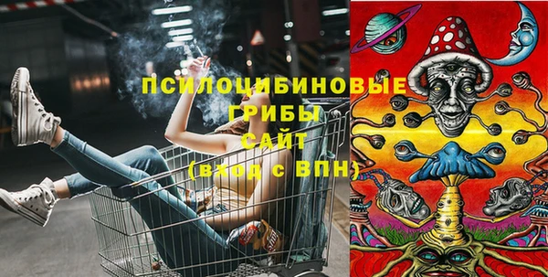 ГАЛЛЮЦИНОГЕННЫЕ ГРИБЫ Алзамай