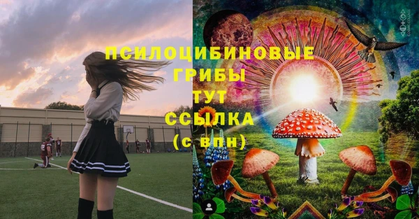 стаф Алексеевка