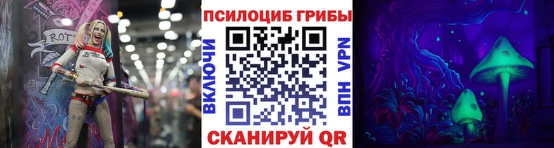 Галлюциногенные грибы Psilocybine cubensis Мичуринск